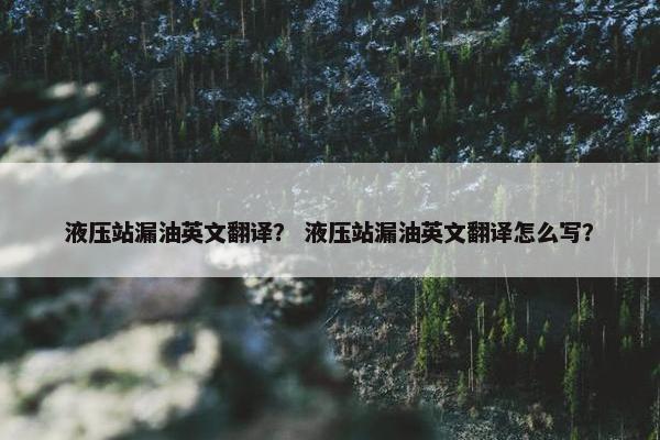 液压站漏油英文翻译？ 液压站漏油英文翻译怎么写？