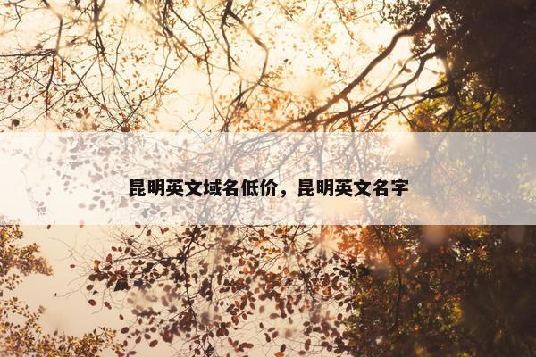 昆明英文域名低价，昆明英文名字