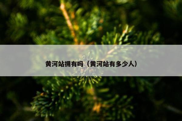 黄河站拥有吗（黄河站有多少人）
