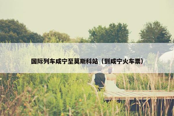 国际列车咸宁至莫斯科站（到咸宁火车票）