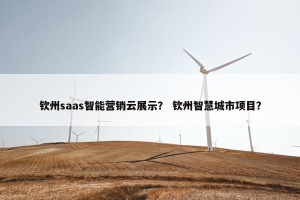 钦州saas智能营销云展示？ 钦州智慧城市项目？