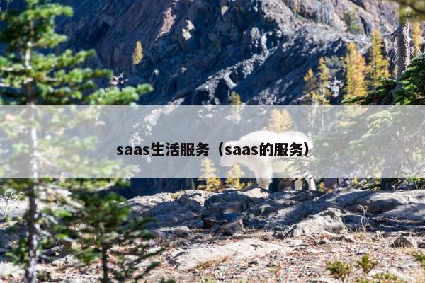 saas生活服务（saas的服务）