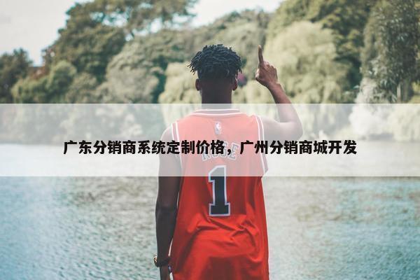 广东分销商系统定制价格，广州分销商城开发
