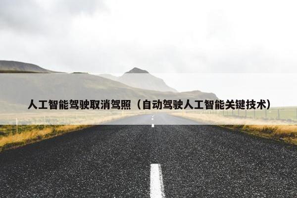 人工智能驾驶取消驾照（自动驾驶人工智能关键技术）