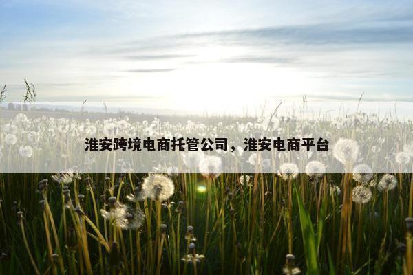 淮安跨境电商托管公司，淮安电商平台