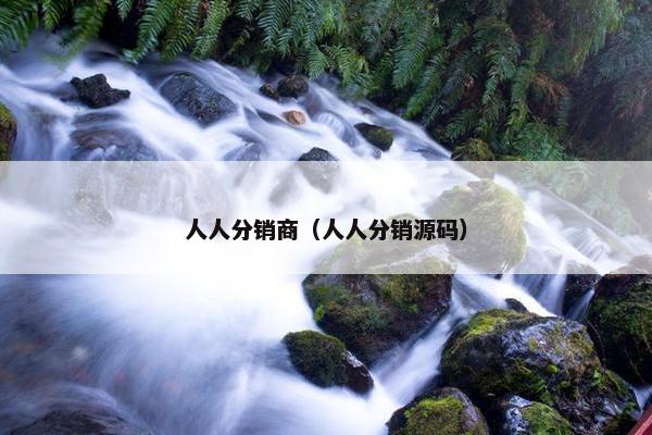 人人分销商（人人分销源码）