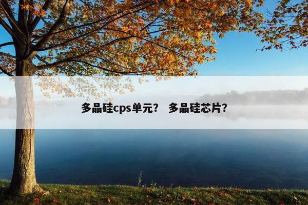 多晶硅cps单元？ 多晶硅芯片？