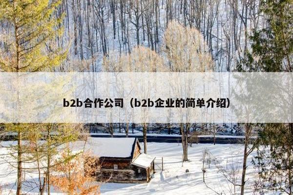 b2b合作公司（b2b企业的简单介绍）