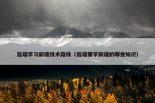 后端学习前端技术路线（后端要学前端的哪些知识）