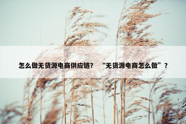 怎么做无货源电商供应链？ “无货源电商怎么做”？