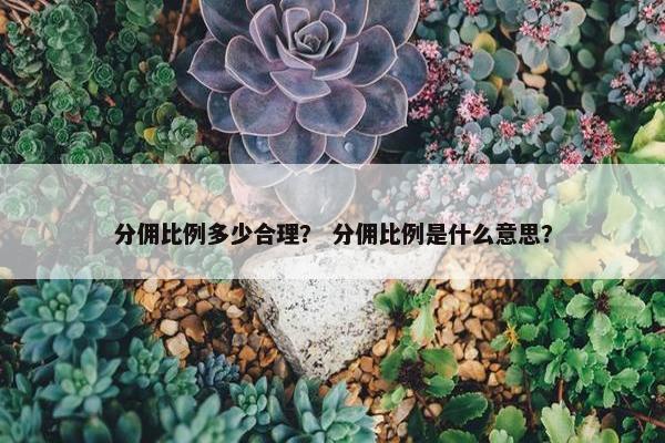 分佣比例多少合理？ 分佣比例是什么意思？