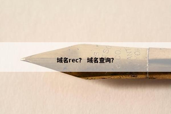 域名rec？ 域名查询？