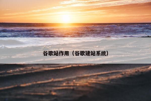谷歌站作用（谷歌建站系统）