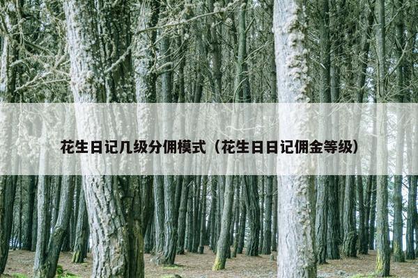 花生日记几级分佣模式（花生日日记佣金等级）