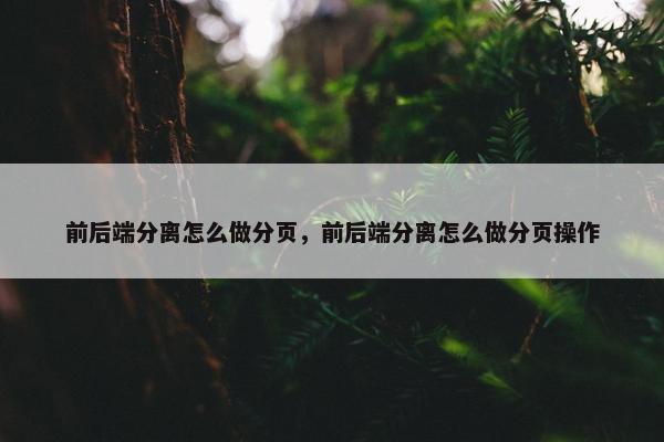 前后端分离怎么做分页，前后端分离怎么做分页操作