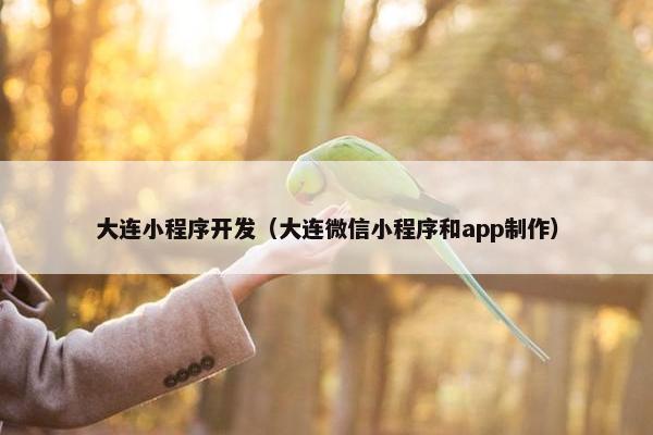 大连小程序开发（大连微信小程序和app制作）