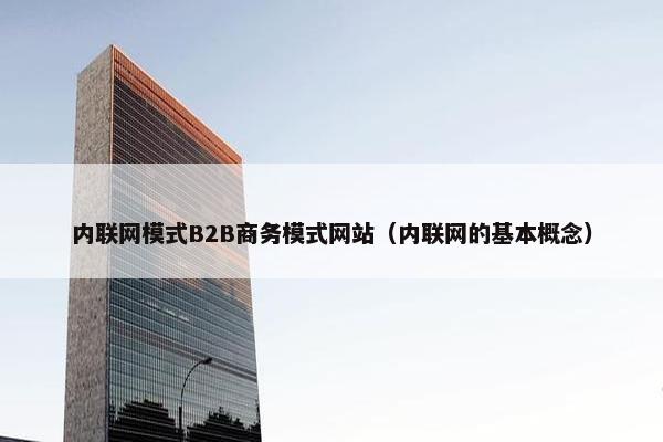内联网模式B2B商务模式网站（内联网的基本概念）