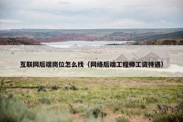 互联网后端岗位怎么找（网络后端工程师工资待遇）