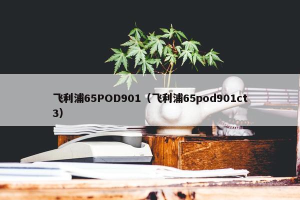 飞利浦65POD901（飞利浦65pod901ct3）