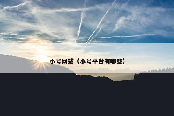 小号网站（小号平台有哪些）