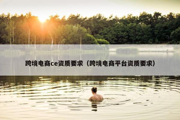 跨境电商ce资质要求（跨境电商平台资质要求）
