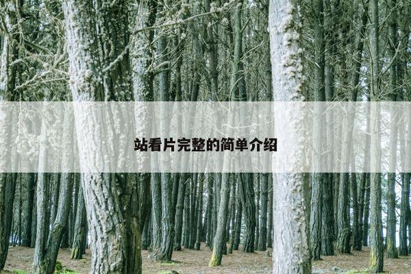 站看片完整的简单介绍