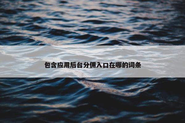 包含应用后台分佣入口在哪的词条