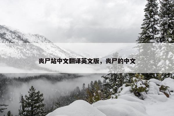 丧尸站中文翻译英文版，丧尸的中文