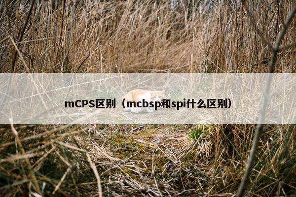 mCPS区别（mcbsp和spi什么区别）