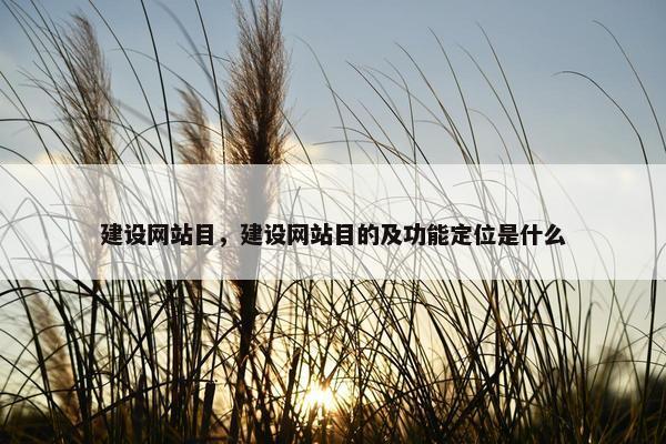 建设网站目，建设网站目的及功能定位是什么