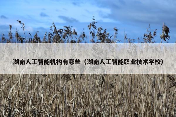 湖南人工智能机构有哪些（湖南人工智能职业技术学校）