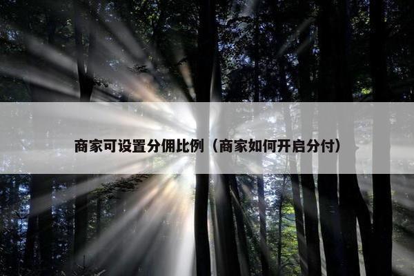 商家可设置分佣比例（商家如何开启分付）