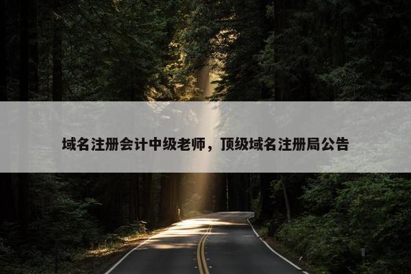 域名注册会计中级老师，顶级域名注册局公告