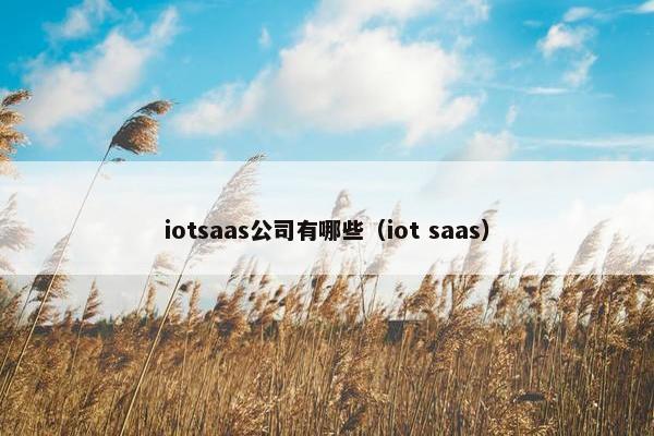 iotsaas公司有哪些（iot saas）