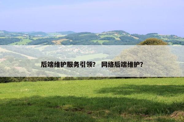 后端维护服务引领？ 网络后端维护？