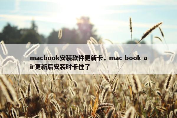 macbook安装软件更新卡，mac book air更新后安装时卡住了