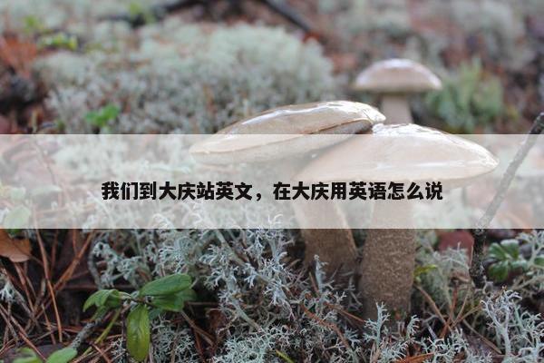 我们到大庆站英文，在大庆用英语怎么说