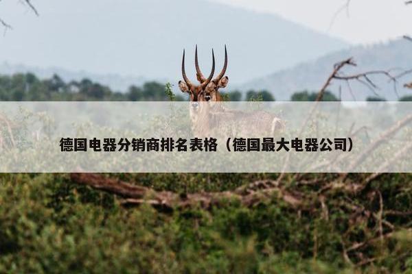 德国电器分销商排名表格（德国最大电器公司）