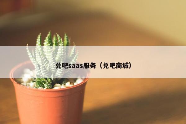 兑吧saas服务（兑吧商城）