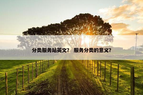 分类服务站英文？ 服务分类的意义？