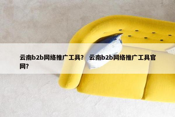 云南b2b网络推广工具？ 云南b2b网络推广工具官网？