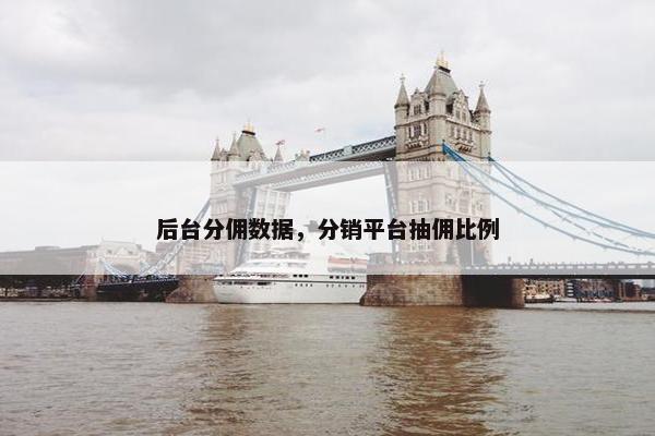 后台分佣数据，分销平台抽佣比例