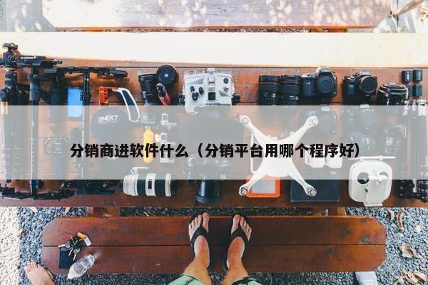 分销商进软件什么（分销平台用哪个程序好）
