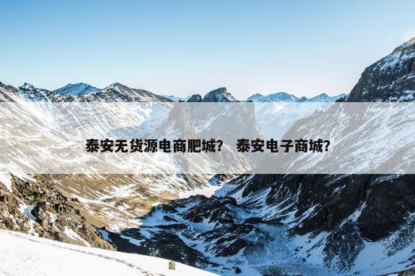 泰安无货源电商肥城？ 泰安电子商城？