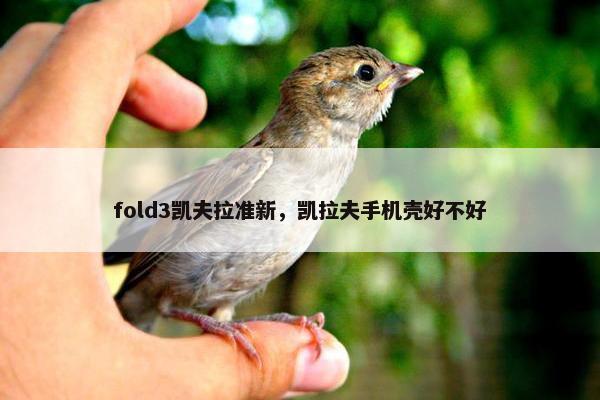 fold3凯夫拉准新，凯拉夫手机壳好不好