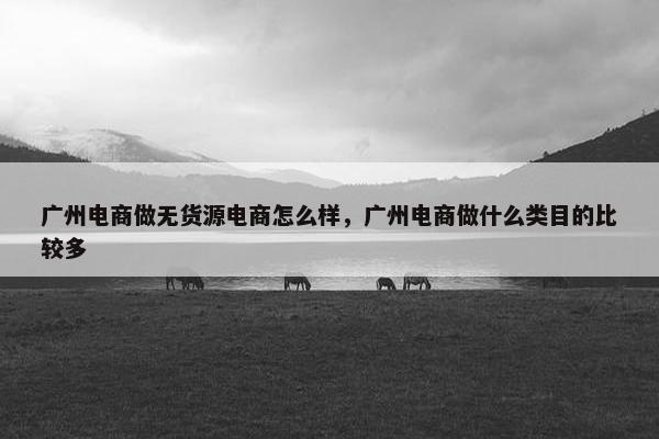 广州电商做无货源电商怎么样，广州电商做什么类目的比较多