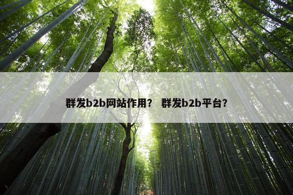 群发b2b网站作用？ 群发b2b平台？