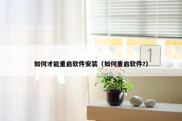 如何才能重启软件安装（如何重启软件?）