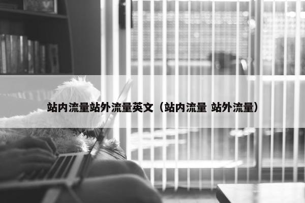 站内流量站外流量英文（站内流量 站外流量）