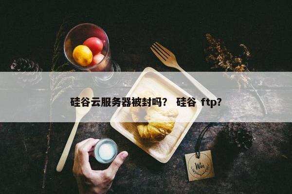硅谷云服务器被封吗？ 硅谷 ftp？